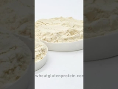 Önemli Buğday Gluteni, Buğday Gluteni, Gluten